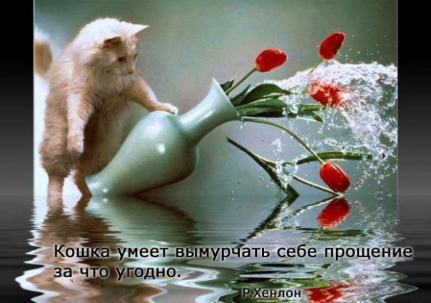 http://cs9320.vkontakte.ru/u28094468/93327573/x_01b6ba94.jpg